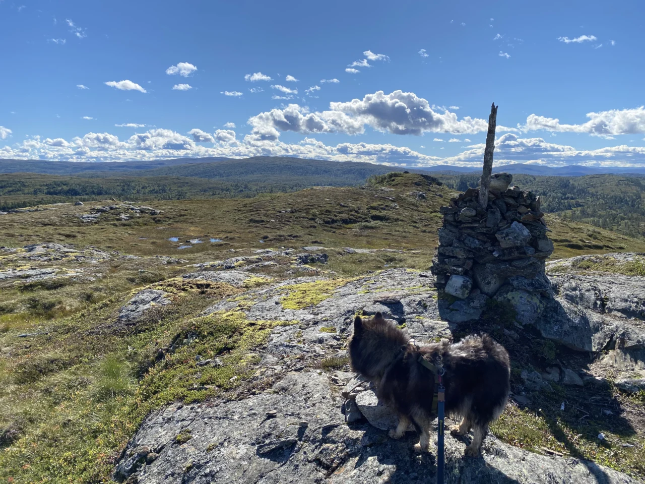Friluftslivets år- Bli med trimgruppa på Brungfjellet.